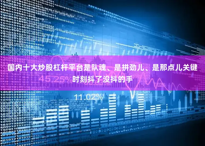 国内十大炒股杠杆平台是队魂、是拼劲儿、是那点儿关键时刻抖了没抖的手